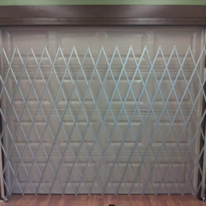 single fixed accordion gate